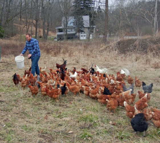 Everywhere a Chick, Chick